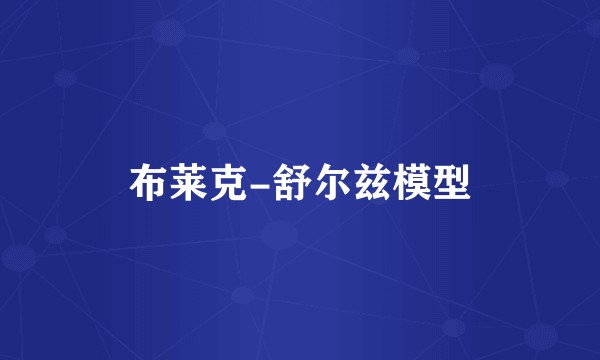 布莱克-舒尔兹模型