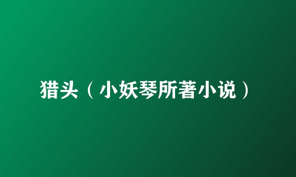 猎头（小妖琴所著小说）