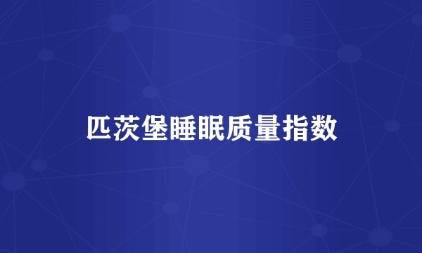 匹茨堡睡眠质量指数