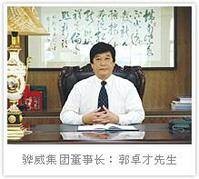 广东骅威玩具工艺（集团）有限公司