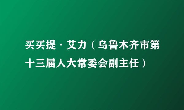 买买提·艾力(乌鲁木齐市第十三届人大常委会副主任)