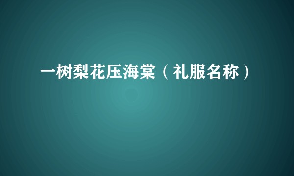 一树梨花压海棠（礼服名称）