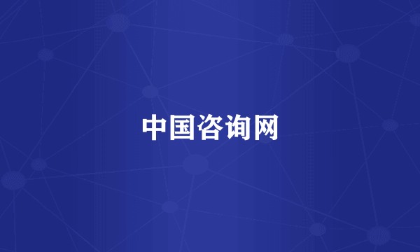 中国咨询网