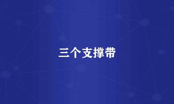 三个支撑带