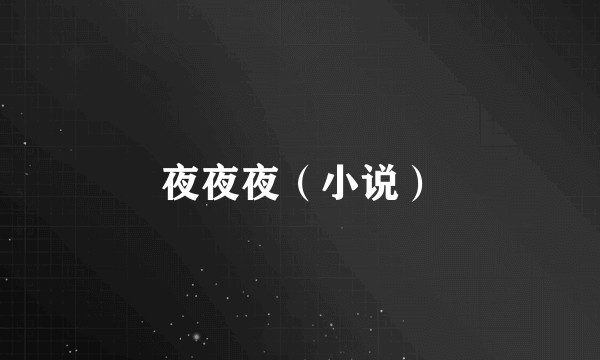 夜夜夜（小说）