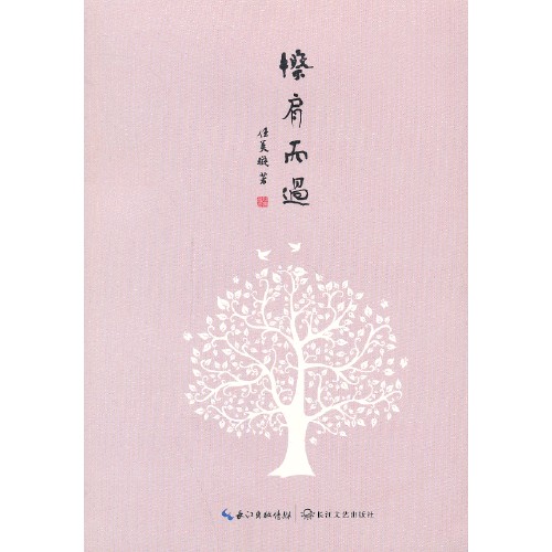 擦肩而过（2013年长江文艺出版社出版的图书）