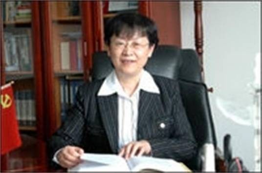 徐梅(黑龙江省人大人事委员会主任委员)