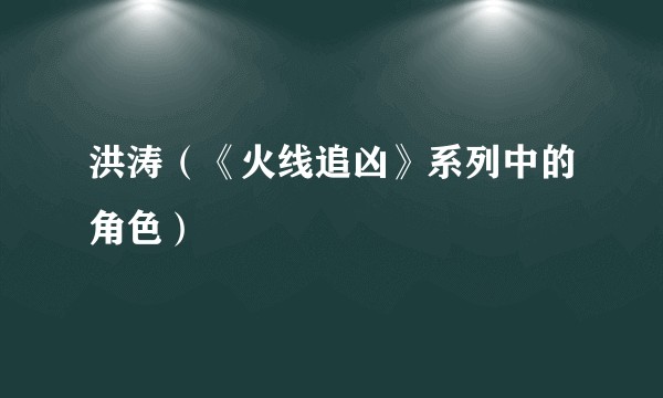 洪涛（《火线追凶》系列中的角色）