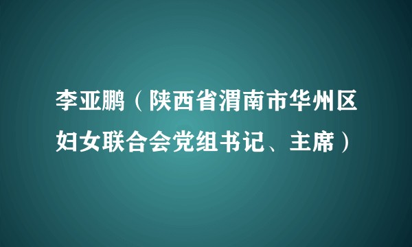 李亚鹏（陕西省渭南市华州区妇女联合会党组书记、主席）