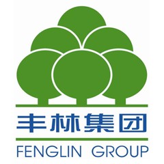 广西丰林木业集团股份有限公司