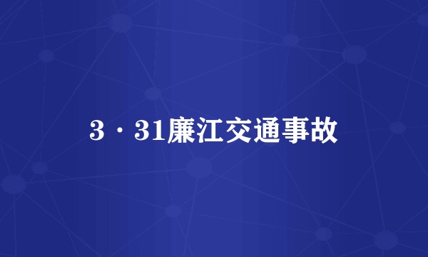 3·31廉江交通事故