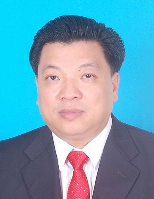 张志锋(广东省梅州市丰顺县委书记)