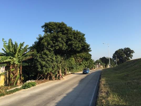 护堤路
