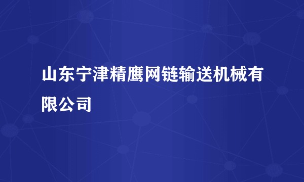 山东宁津精鹰网链输送机械有限公司