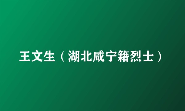 王文生（湖北咸宁籍烈士）