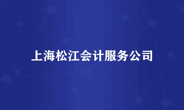 上海松江会计服务公司
