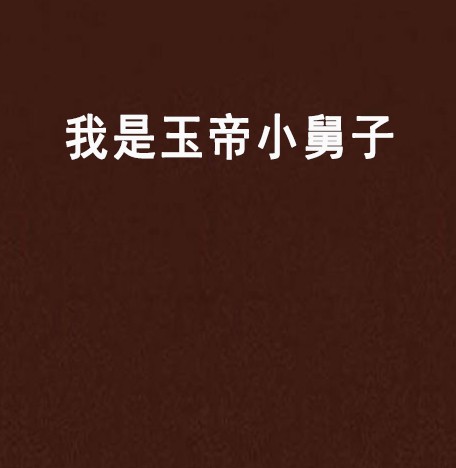 我是玉帝小舅子