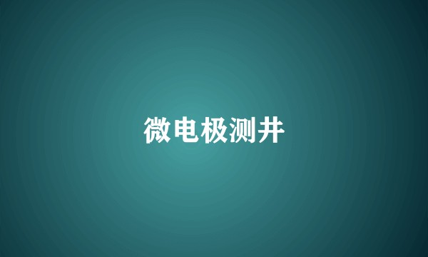 微电极测井
