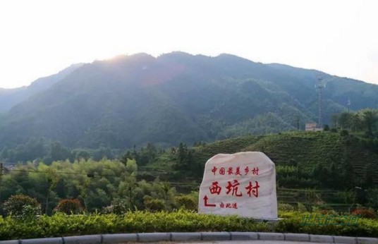西坑村（浙江省丽水市松阳县四都乡下辖村）