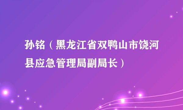 孙铭（黑龙江省双鸭山市饶河县应急管理局副局长）