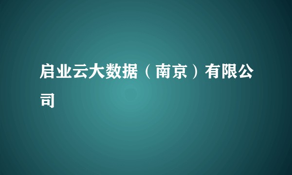 启业云大数据(南京)有限公司
