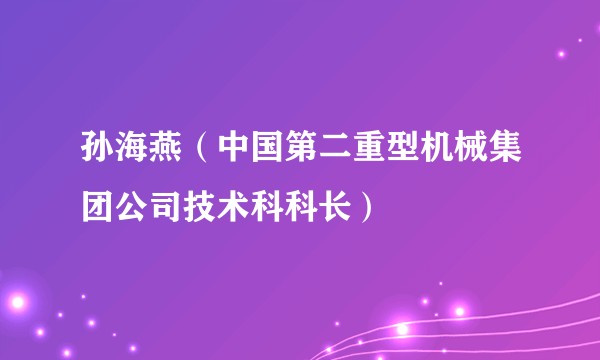 孙海燕（中国第二重型机械集团公司技术科科长）