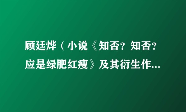 顾廷烨(小说《知否?知否?应是绿肥红瘦》及其衍生作品中的男主角)