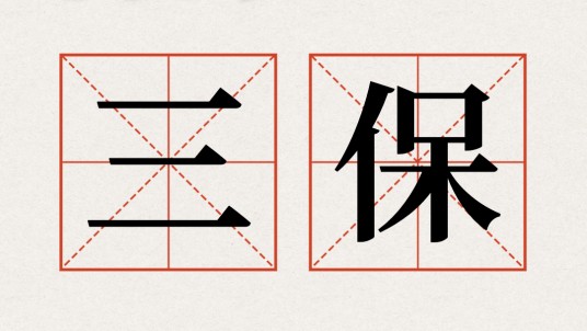 三保(2022年全国两会热词)