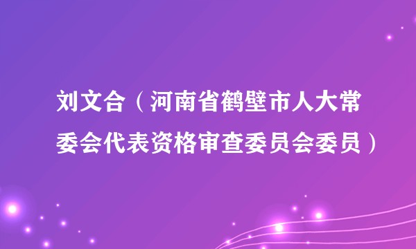 刘文合（河南省鹤壁市人大常委会代表资格审查委员会委员）