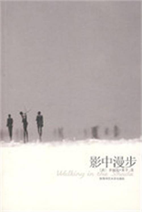 影中漫步(2008年陕西师范大学出版社出版的图书)