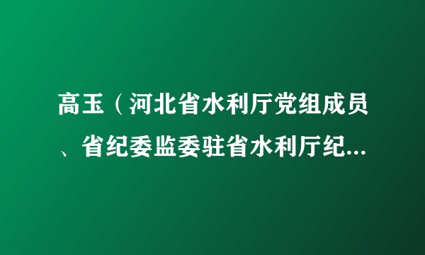 高玉(河北省水利厅党组成员、省纪委监委驻省水利厅纪检监察组组长)