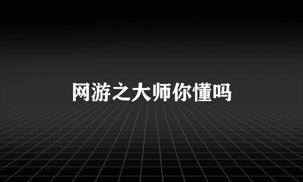 网游之大师你懂吗