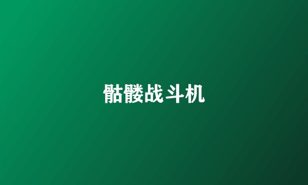 骷髅战斗机