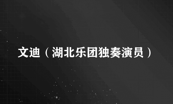 文迪（湖北乐团独奏演员）
