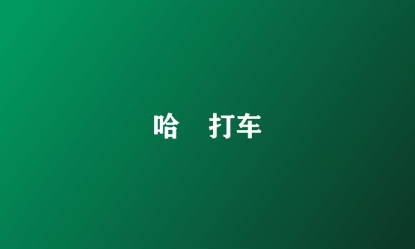 哈啰打车