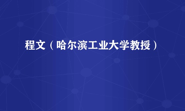 程文（哈尔滨工业大学教授）