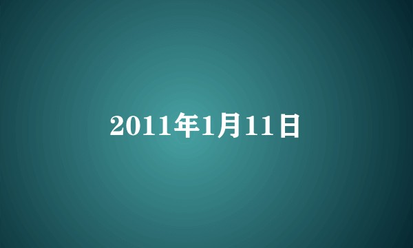 2011年1月11日