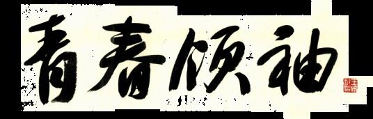 青春领袖
