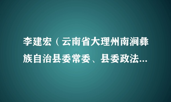 李建宏(云南省大理州南涧彝族自治县委常委、县委政法委书记)