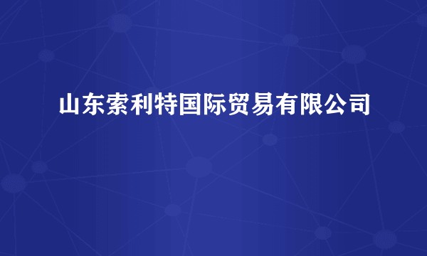 山东索利特国际贸易有限公司