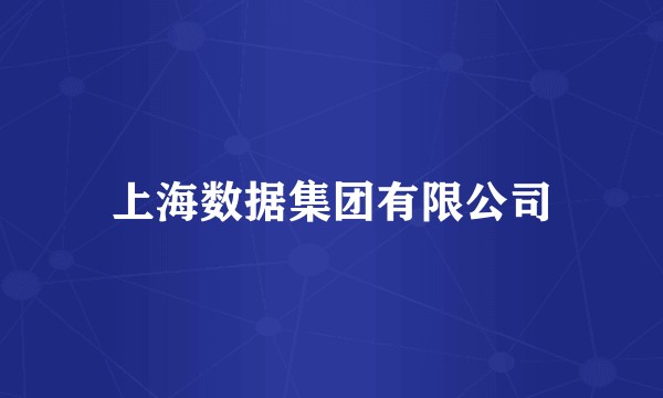 上海数据集团有限公司