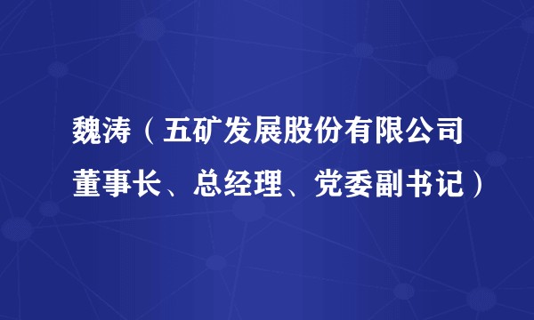 魏涛（五矿发展股份有限公司董事长、总经理、党委副书记）