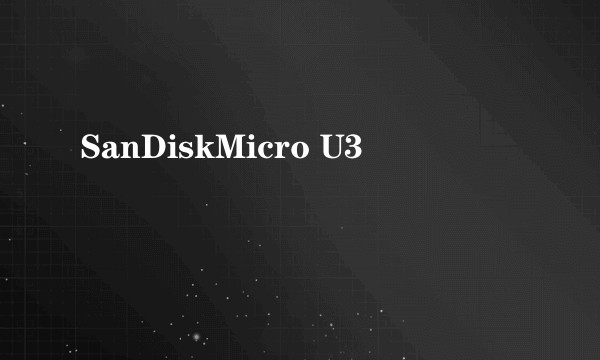 SanDiskMicro U3