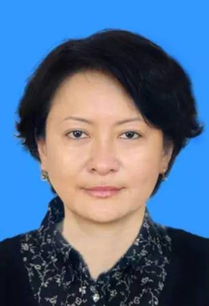 张晓平(民革新疆委员会副主任委员)