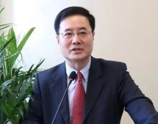 虞平（中国法学教授）
