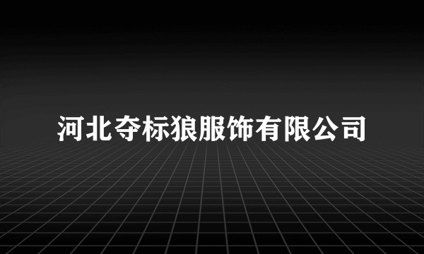 河北夺标狼服饰有限公司