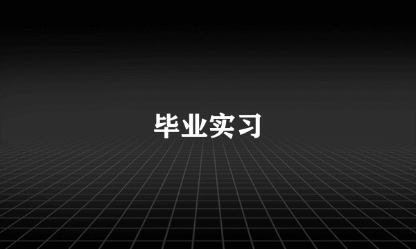 毕业实习
