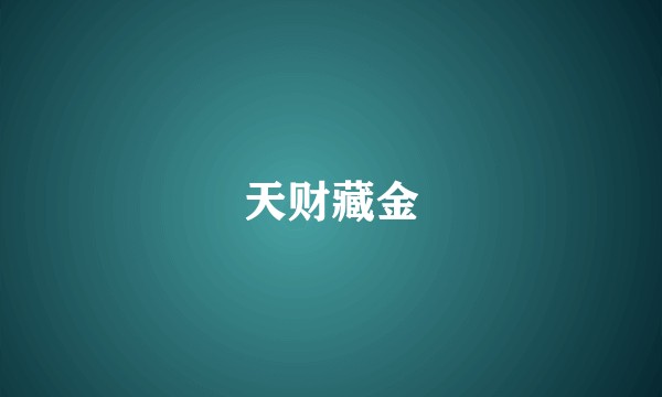 天财藏金