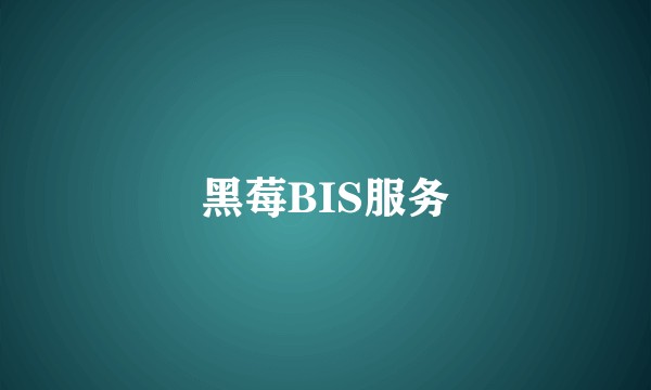 黑莓BIS服务