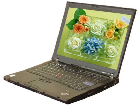 联想ThinkPad T61(766313C)